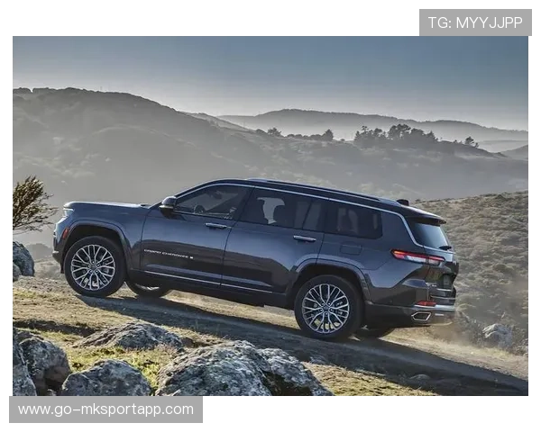 拉力车手适应复杂路况能力增强，赛段完成度提升