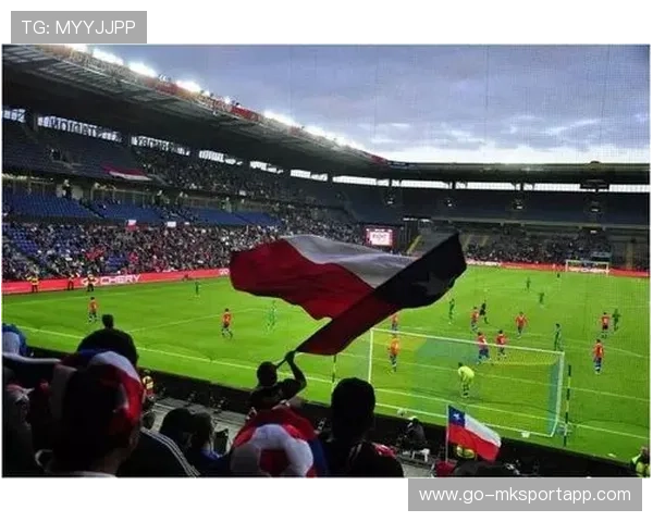 体育赛事全球化品牌建设案例